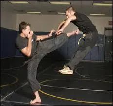 Le krav-maga est un style de close-combat ayant vu le jour durant la Seconde Guerre mondiale. Quelle armée est connue pour l'enseignement de cette discipline à ses troupes ?