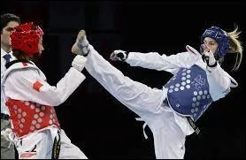 Parmi les propositions suivantes, laquelle n'est pas une appellation du taekwondo ?