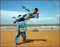 Quelle est l'orthographe précise de cet art martial originaire du Vietnam, connu notamment pour ses impressionnants ciseaux de tête effectués à la volée ?