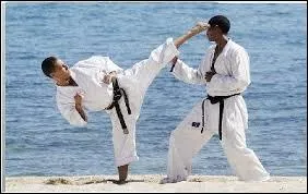 Le karaté est un art martial japonais comprenant une multitude de styles différents. Lequel n'en est pas un ?