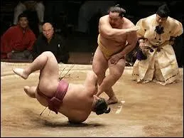 Le sumo est une célèbre forme de lutte née au Japon. Par quelle manière un sumotori peut-il battre son adversaire ?