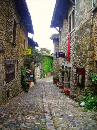Ces vieux murs appartiennent à une cité médiévale de l'Ain. Quelle est cette ancienne cité de tisserands classée parmi les plus beaux villages de France ?