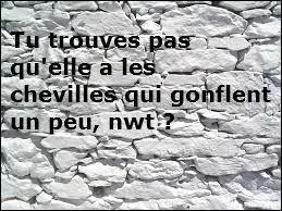 J'ai fait les pieds au mur pour que ce quiz soit étoilé, alors si, entre vous, dans l'intimité, il vous vient à l'idée de confier à un ami que vous me 
trouvez bien prétentieuse, je finirai bien par le savoir ...