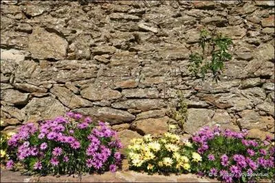 Qui chantait "Les murs de poussière" ?