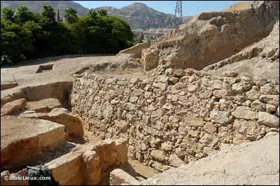 Qui chantait " A faire trembler les murs de Jericho, je vais t'aimer " ?