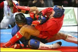 Créé en ex-URSS dans les années 30, ce sport de combat est un subtil mélange de karaté, de boxe, d'aïkido, de lutte et de judo. Il s'agit du :