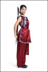 Les arts martiaux chinois ont été popularisés sous le célèbre nom de "kung-fu". Tout comme de nombreux autres arts martiaux, le kung-fu comprend des techniques de combat avec armes. Quelles sont les 4 armes de bases utilisées dans cet art martial ?