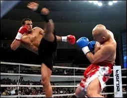 Dans la pratique du kick-boxing, quelles parties du corps ne peut-on pas utiliser pour frapper son adversaire ?