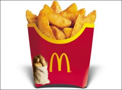 Comment s'appellent ces patates taillées en frites ? 