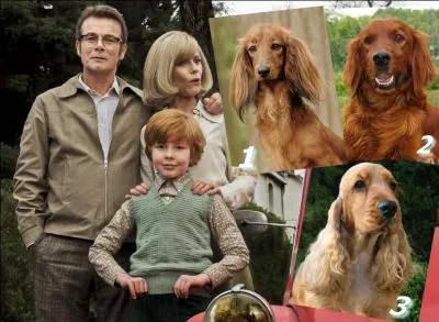 Le film commence par une adoption... et Bill transforme la vie de Boule...