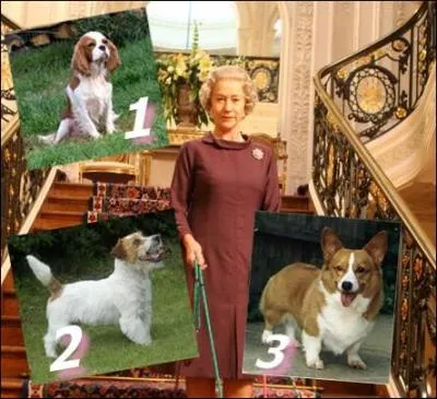 "The Queen", illustre les rapports entre la Reine Elisabeth II et son ministre Tony Blair. Son animal de compagnie préféré, le Corgi figure dans de nombreuses séquences...