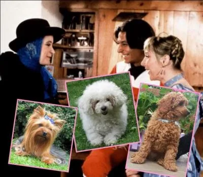 Pépette est la chienne de Gigi et Jérôme dans la célèbre comédie française « Les Bronzés font du ski»...