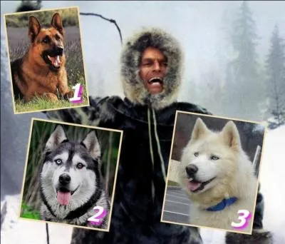 Buck et son maître John, affrontent mille dangers et défient une nature particulièrement hostile dans "L'appel de la forêt "...