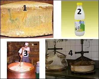 De quelle catégorie est ce fromage produit en ------ ?
Quel est son nom ?