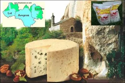 Quel est ce fromage blanc ivoire, à pâte persillée, fait avec du lait ---------- ?