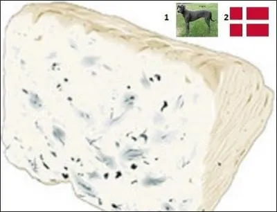 Voilà un autre fromage à pâte persillée, en provenance ----------.