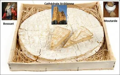 Les indices vous donnent la provenance de ce fromage Brie.