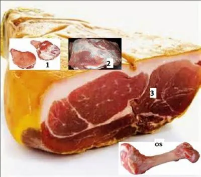 Rendez l'os à son morceau !