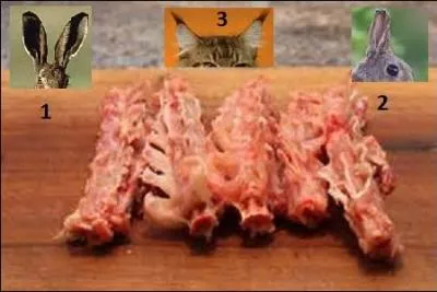 Des râbles désossés. De quels animaux proviennent-ils ?