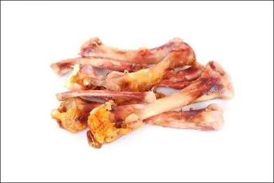 De quel animal ces os proviennent-ils ?