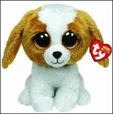 Comment s'appelle ce Beanie Boos ?