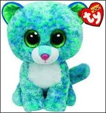 Comment s'appelle ce Beanie Boos ?
