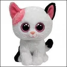 Comment s'appelle ce Beanie Boos ?