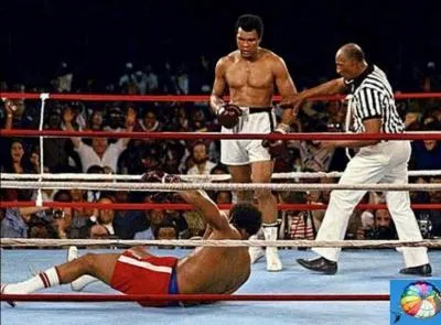 Ce grand sportif avait une trouille immense de l'avion, à tel point qu'il n'accepta de se rendre aux jeux olympiques de Rome (1960) que s'il était équipé d'un parachute durant le vol !