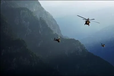 Parmi ces hélicoptères de l'armée de l'air, s'est glissé un intrus, lequel ?