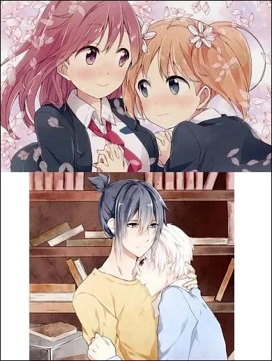 Okay, poursuivons avec les caractéristiques de manga/animé. Comment appelle-t-on la romance entre garçon-garçon ou fille-fille ?
