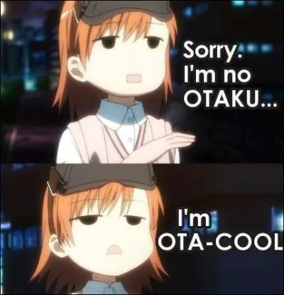 Quels sont les 3 animés/mangas qui ont un(e) Otaku comme personnage principal ?