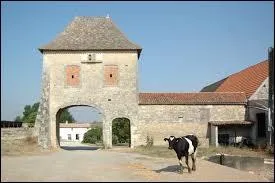 Notre retour sur terre nous emmène à Saint-Laurent-de-la-Brrière. Commune picto-charentaise, elle se situe dans le département ...