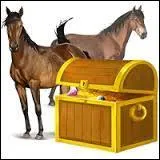 Qu'est-ce que c'est ?