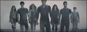 Quelle est leur particularité ?