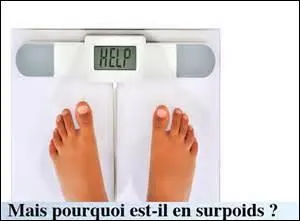 Qu'est-ce que l'embonpoint ?