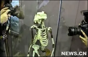 Quel âge a Lucy, le plus vieux squelette de femme ?