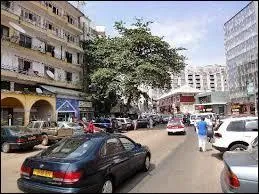 Quelle est la capitale de ce pays ?