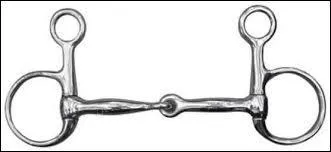 Comment s'appelle ce mors ?