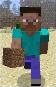 Comment appelle-t-on ce skin ?