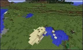 Comment appelle-t-on ce biome ?