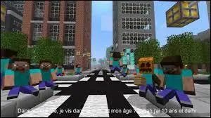 Comment appelle-t-on les nuls dans Minecraft ?