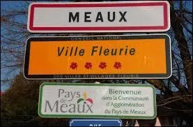Quel est le gentilé de habitants de la ville de Meaux en Seine-et Marne ?