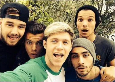 Quel est le nom de leur film sorti en août 2013 ?