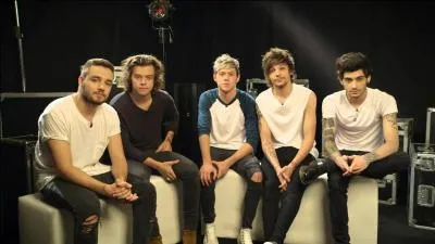 Comment s'appelle la quatrième tournée du groupe ?