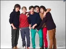 Comment s'appellent les vidéos réalisées par le groupe pendant les concerts ?