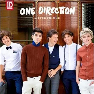 Par qui a été écrite la chanson "Little Things" ?