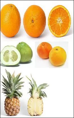 Quel fruit n'est pas un agrume ?