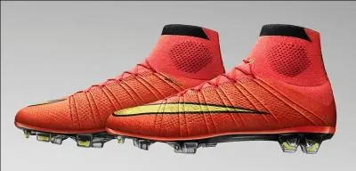 Quels sont ces crampons ?