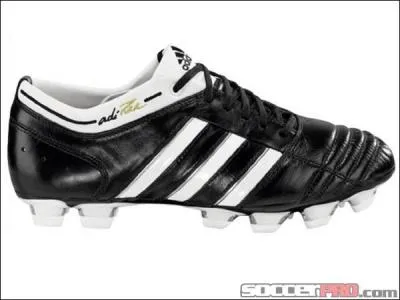 Quels sont ces crampons ?