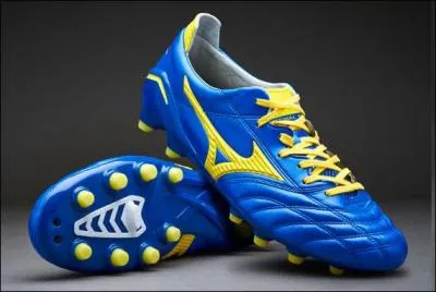 Quels sont ces crampons ?